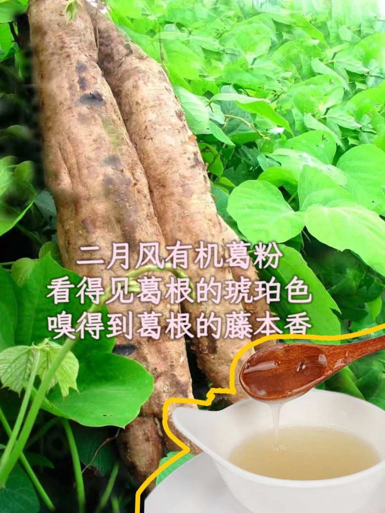 二月風有機葛粉，看得見葛根的琥珀色，嗅得到葛根的藤本香_790.jpg