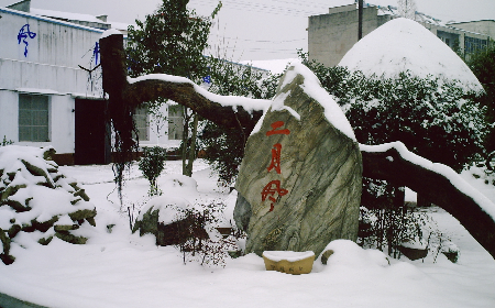 二月風致老友：一碗葛根粉的牽掛，農(nóng)博會上的重逢之約二月風盼老友：農(nóng)博會上，再續(xù)葛粉情緣